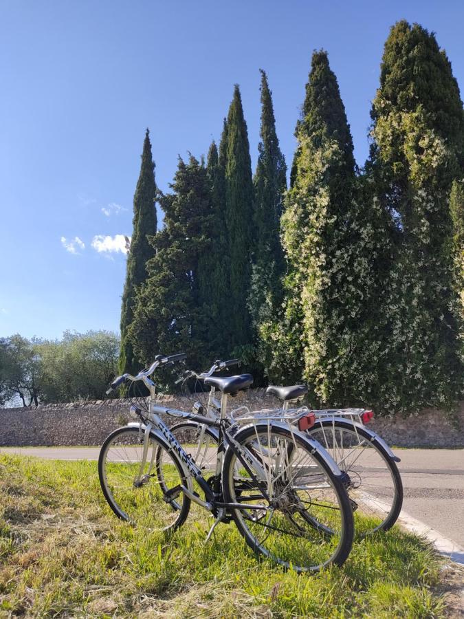 Casa Pepe Panzió Colà Kültér fotó